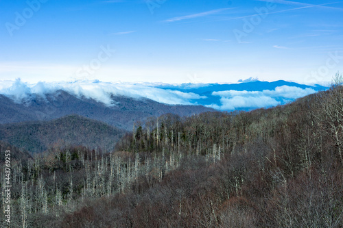 landscape in the morning