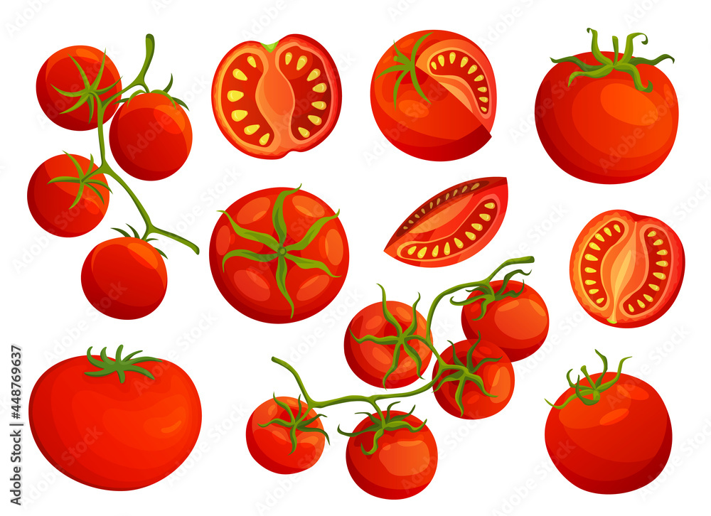 Tomatoes. Collection of chopped tomatoes isolated on white background. fresh red tomatoes. Single tomato, half a tomato, a slice of tomato, cherry tomato Tomatoes. Collection of chopped tomatoes isolated on white background. fresh red tomatoes. Single tomato, half a tomato, a slice of tomato, cherry tomato