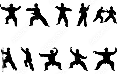 TaiChi silhouette vector