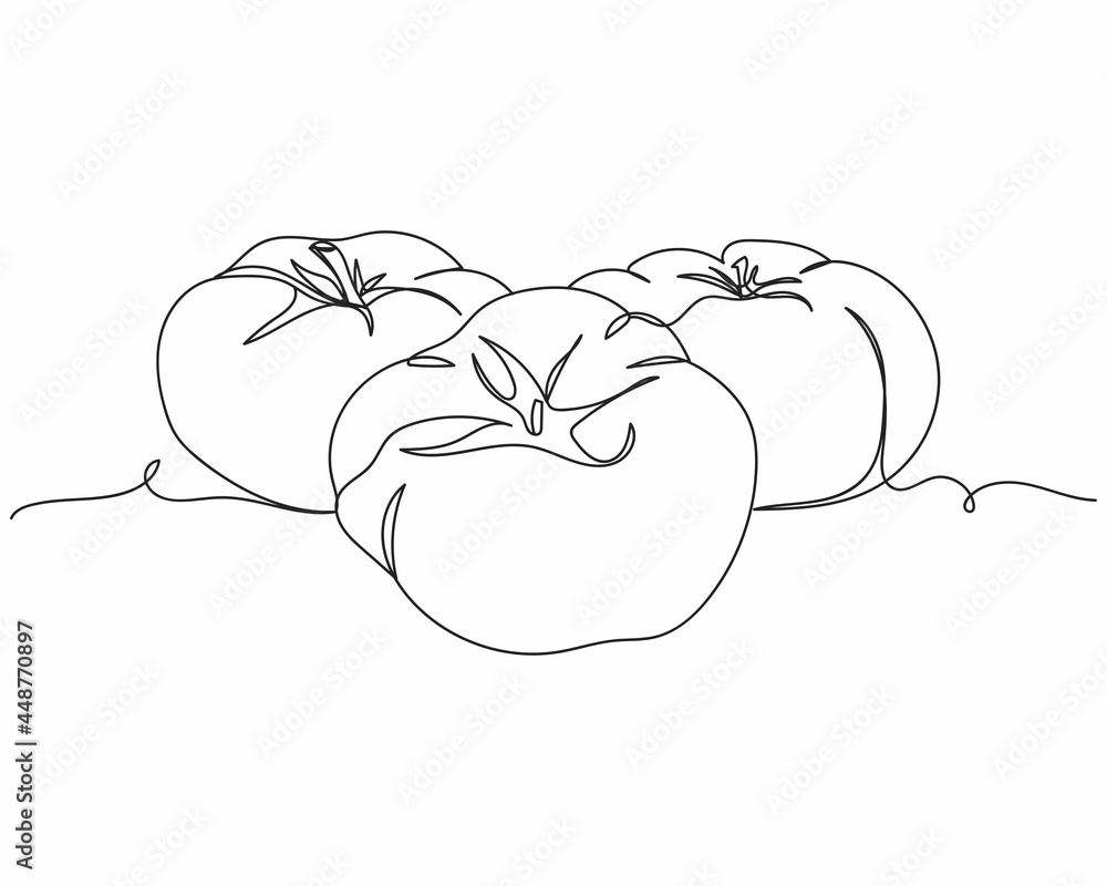 Continuous one line drawing of tomatoes in silhouette on a white background. Linear stylized.Minimalist. Continuous one line drawing of tomatoes in silhouette on a white background. Linear stylized.Minimalist.