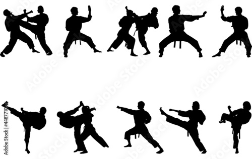 Karate silhouette vector