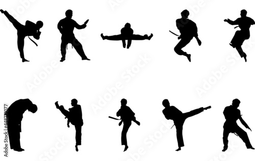 Taekwondo silhouette vector