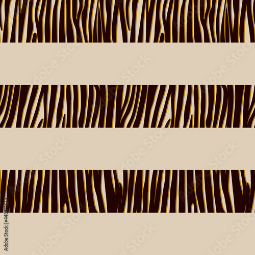 Seamless Pattern with zebra stripes - Animal Print