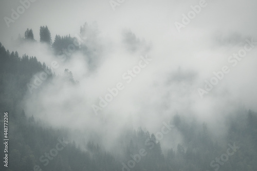Dramatic fog in the forest © Hanjin