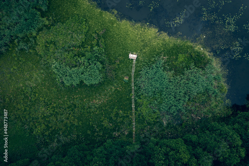 Aerial view of green forest, blue lake and wooden pier