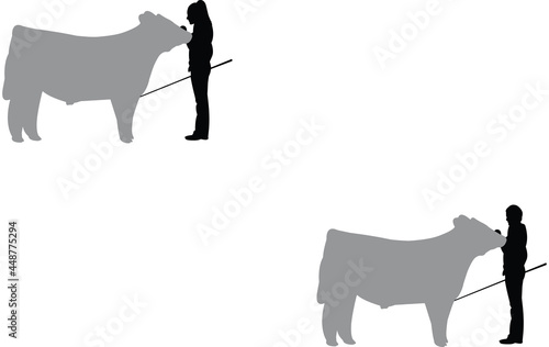 Steer Show Vector Silhouette
