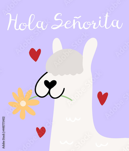 Funny and cute llama or alpaca with flower in teeth with text above Hola Senorita vector card or greeting