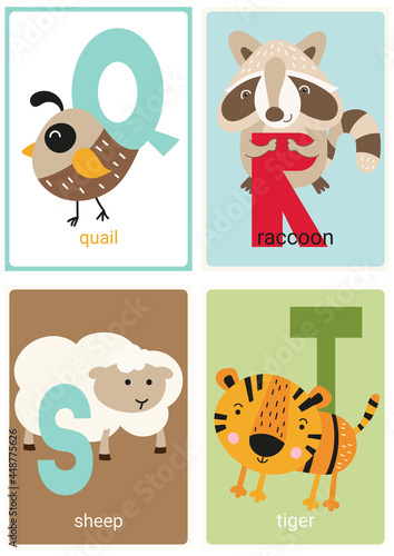 Alphabet cards for kids. Educational preschool learning ABC with animals quail, raccoon, sheep, tiger and letters Q, R, S, T. Vector illustration. © Nursery Art