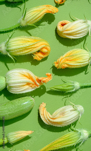 different zucchini flowers on a uniform background