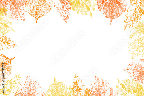 Leaf imprint rectangular frame.Hand-made gouache prints on paper. Paint impressions, stamps. Autumn decor for your design. Made using frottage technique. Isolated. Vector illustration