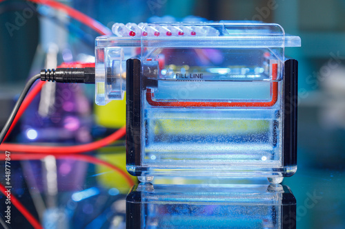Gel electrophoresis of nucleic acids