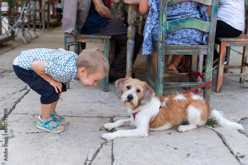Bild auf Leinwand Italy. Terracina. A little boy looks at a dog on a leash.