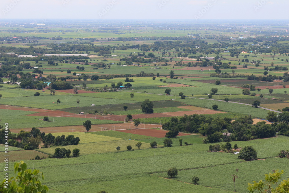 High angle view of agricultural plot area