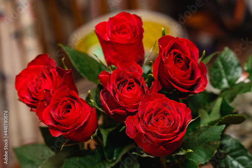 red roses with water droplets