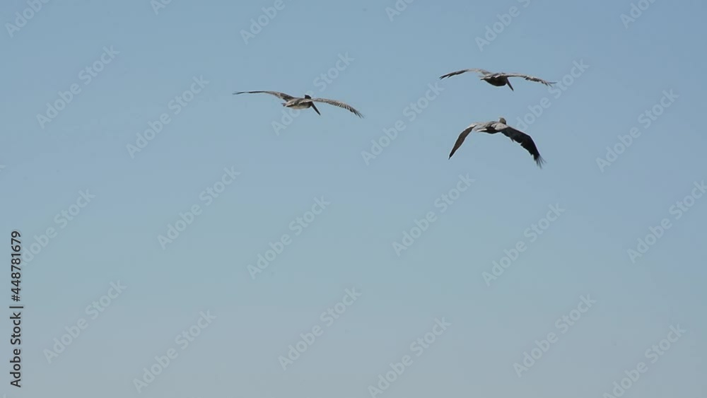 Carmel, CA - 13 AUGUST, 2019: Birds are flying over Carmel River State Beach in California Carmel, CA - 13 AUGUST, 2019: Birds are flying over Carmel River State Beach in California