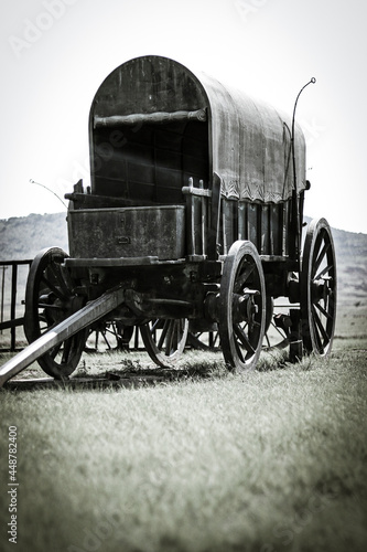 vintage carriage 
