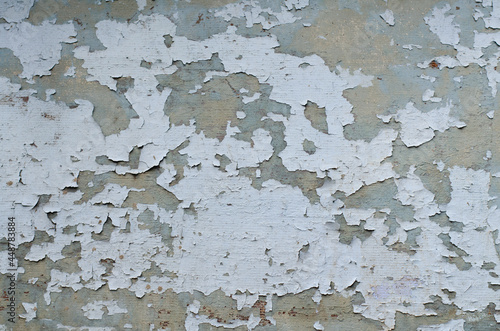 Old peeling paint. Painted surface. Windage surface. Wooden fence. photo