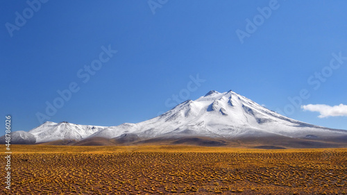 Miniques volcano in the Atacama altiplano, Chile