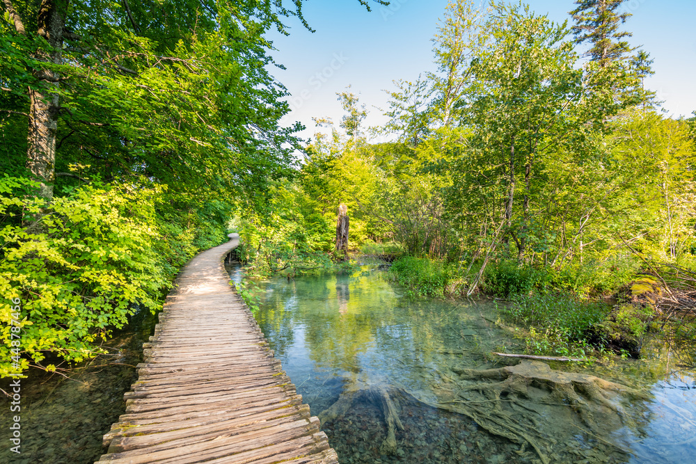 Fototapeta premium Wooden footpath at Plitvice national park, Croatia. Pathway in the forest near the lake and waterfall. Fresh beautiful nature, peaceful place. Famous tourist destination.