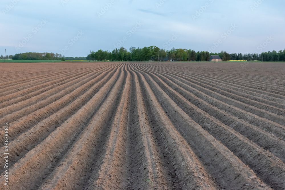 Large agricultural field woth furrows running towards on village on the horizon Large agricultural field woth furrows running towards on village on the horizon