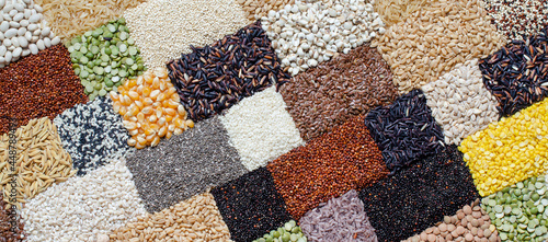 Obraz na plátně Group of dry organic cereal and grain seed background in brick wall pattern