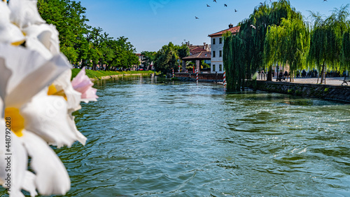 Bild auf Leinwand water canal, houses, flowers, trees in Dolo, Venice. Italy