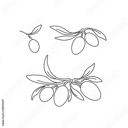 Olive green set. Vector linear logo. Graphic sign