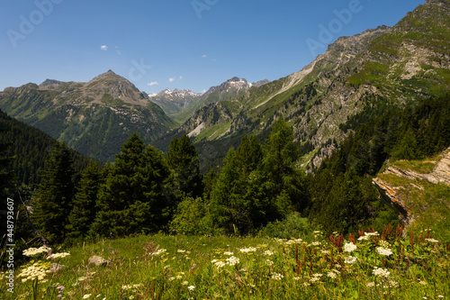 Beautiful view from the top of the Maloja pass in the Bregaglia valley between Switzerland and Italy. It is a beautiful sunny summer day, with blue sky and just a few clouds.