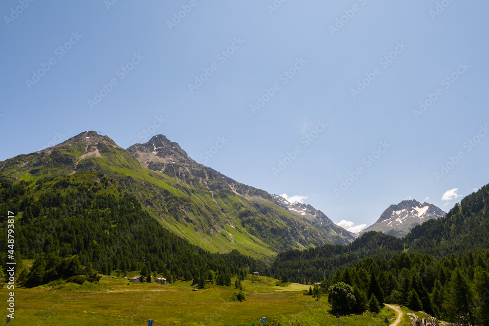 Beautiful view from the top of the Maloja pass in the Bregaglia valley between Switzerland and Italy. It is a beautiful sunny summer day, with blue sky and just a few clouds.