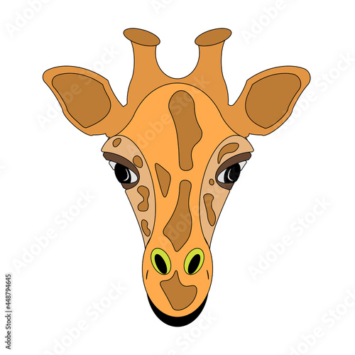 Giraffe head on white background