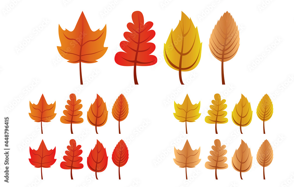 Fototapeta premium Conjunto de hojas de otoño con diferentes formas y colores