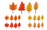 Conjunto de hojas de otoño con diferentes formas y colores