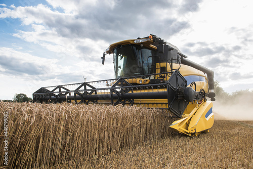 combine harvester working in the fields