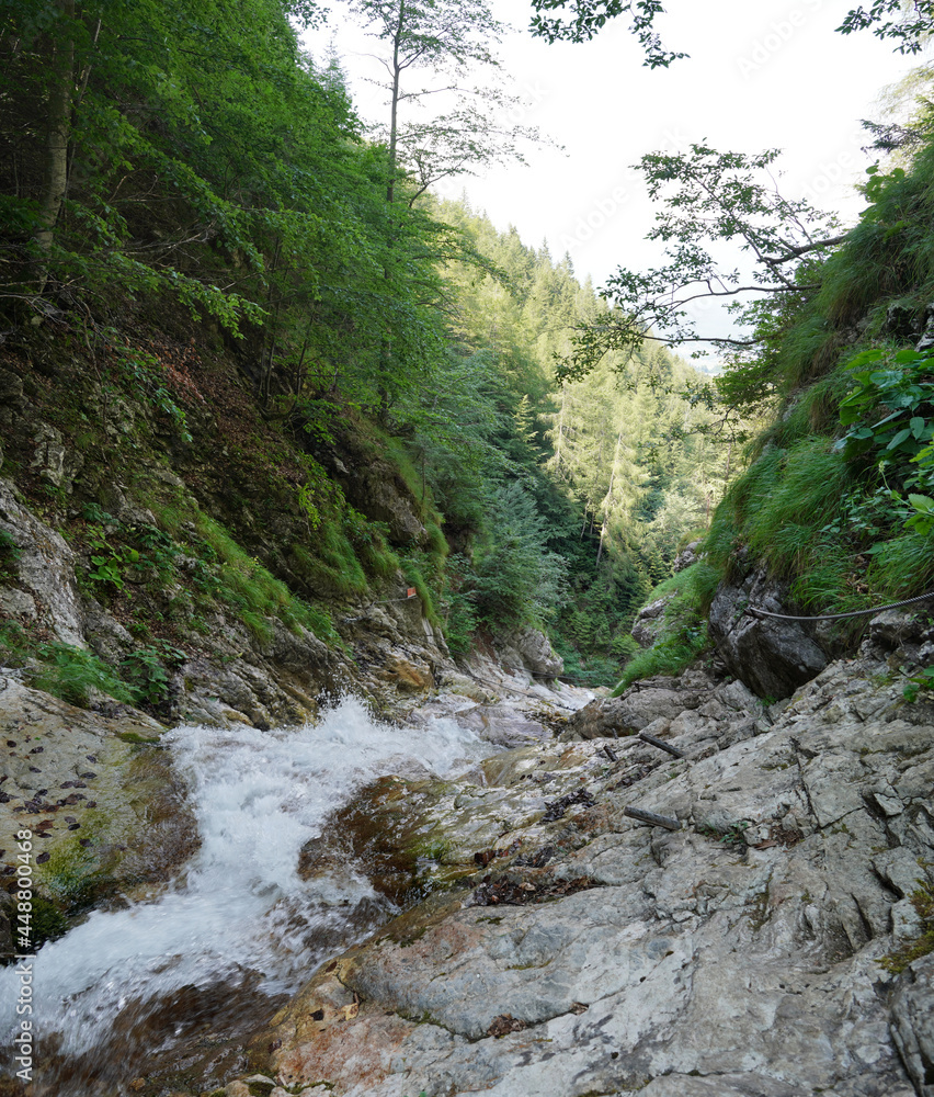Obraz premium Am Rotschitza Wasserfall und Klettersteig bei Faak am See