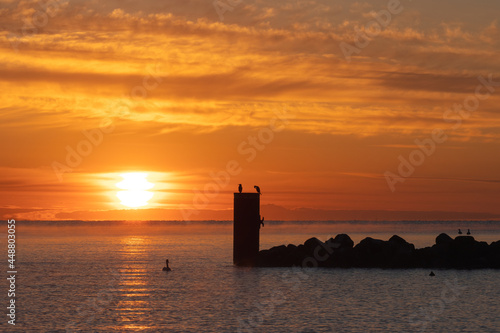 Silhouette von einem Poller mit Vögeln am Meer. 