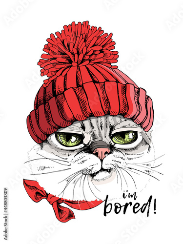 Portrait of the funny Grumpy cat in the red Knitted hat with pompom. Humor card, t-shirt composition, hand drawn style print. Vector illustration.