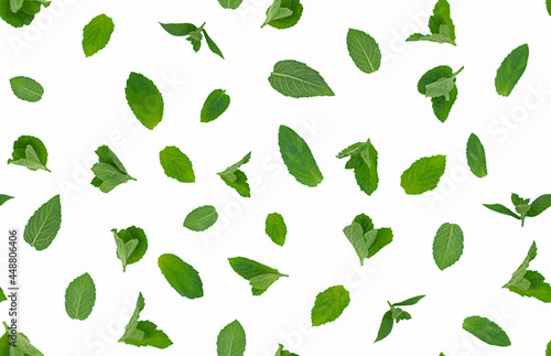 Fresh green mint leaves on white background isolated, seamless pattern