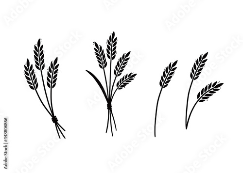 Wheat, barley, rice icon. Hand drawn sketch style oat with grain. Wheat isolated vector illustration.