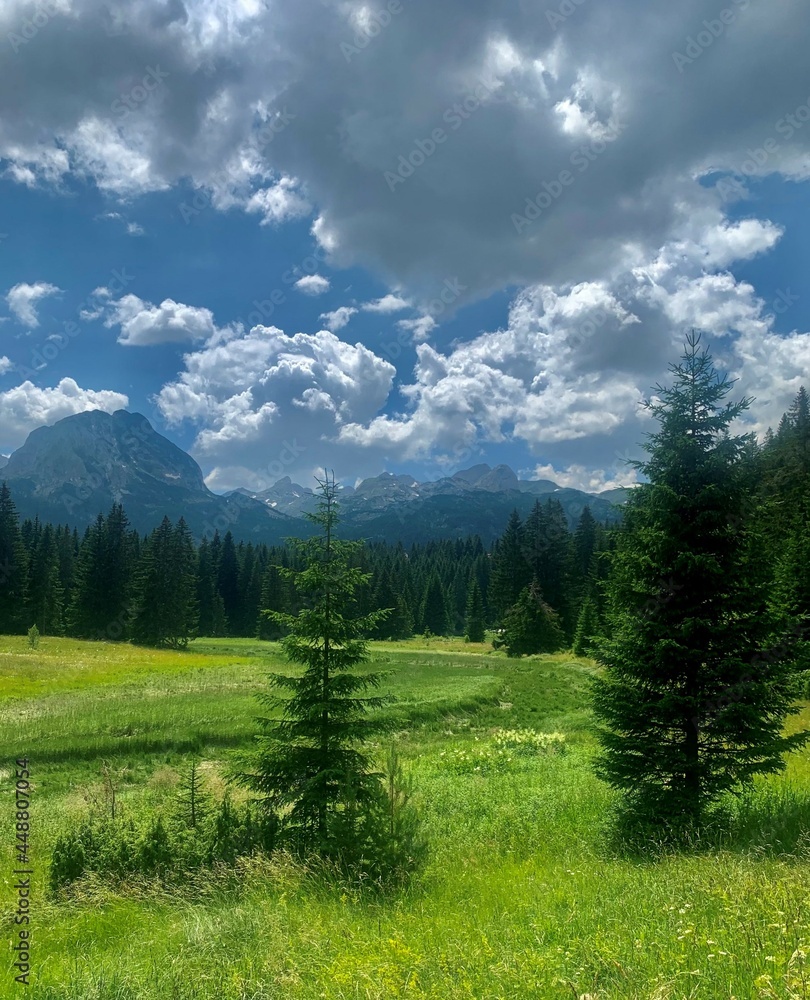 Fototapeta premium landscape with mountains and clouds