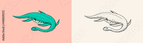 Dinosaurs Elasmosaurus, Mosasaurus, skeletons, fossils, winged lizard. American Prehistoric reptiles. Jurassic. Engraved vintage Hand drawn sketch for t-shirt print or poster.