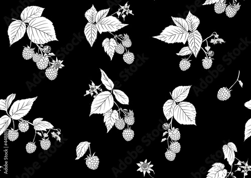 Raspberry. Ripe berries on branch. Seamless pattern, background. Outline drawing. Vector illustration in black and white colors