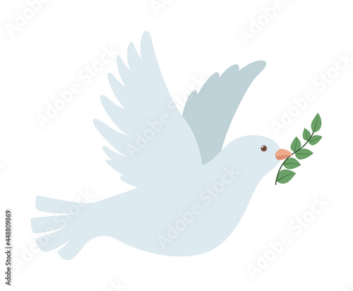 dove bird flying