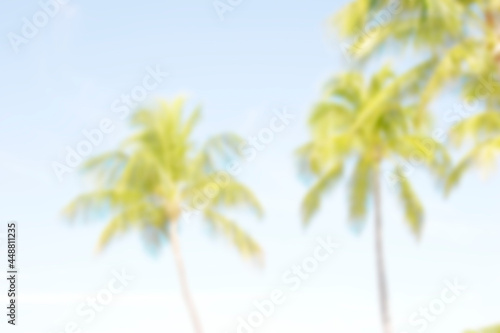 Blurred coconut palm trees for background © Tsado