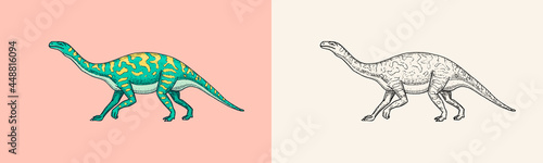 Dinosaurs Barosaurus, Apatosaurus, Tenontosaurus Plateosaurus, broad lizard, Massospondylus, Diplodocus, fossils. Prehistoric reptiles, Animal. Engraved vintage Hand drawn sketch for t-shirt print