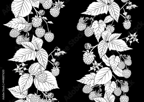 Raspberry. Ripe berries on branch. Seamless pattern, background. Outline drawing. Vector illustration in black and white colors