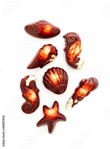 A set of marine Belgian chocolate praline candies, isolated on white background. Luxury dessert temptation concept.
