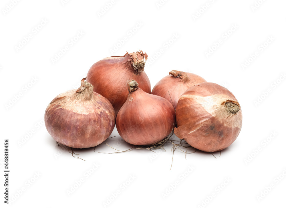 Fresh ripe onion heap close up on isolated white background Fresh ripe onion heap close up on isolated white background