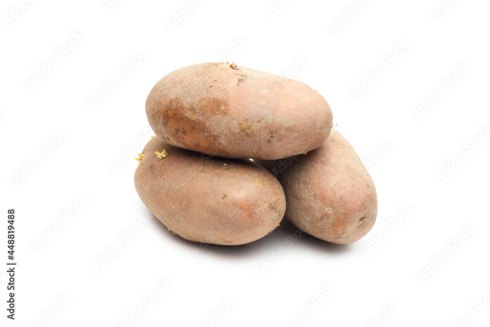 Heap of three potatoes with growing tiny buds on an isolated white background Heap of three potatoes with growing tiny buds on an isolated white background