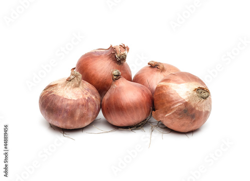 Fresh ripe onion heap close up on isolated white background