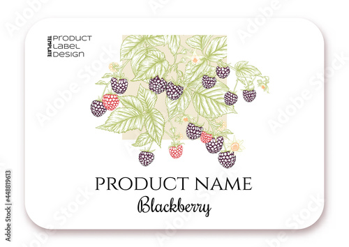 Blackberry. Ripe berries on branch. Template for product label, cosmetic packaging. Easy to edit. Graphic drawing, engraving style. Vector illustration..